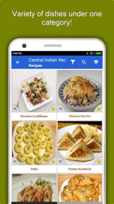 Central Indian Recipes android App screenshot 11